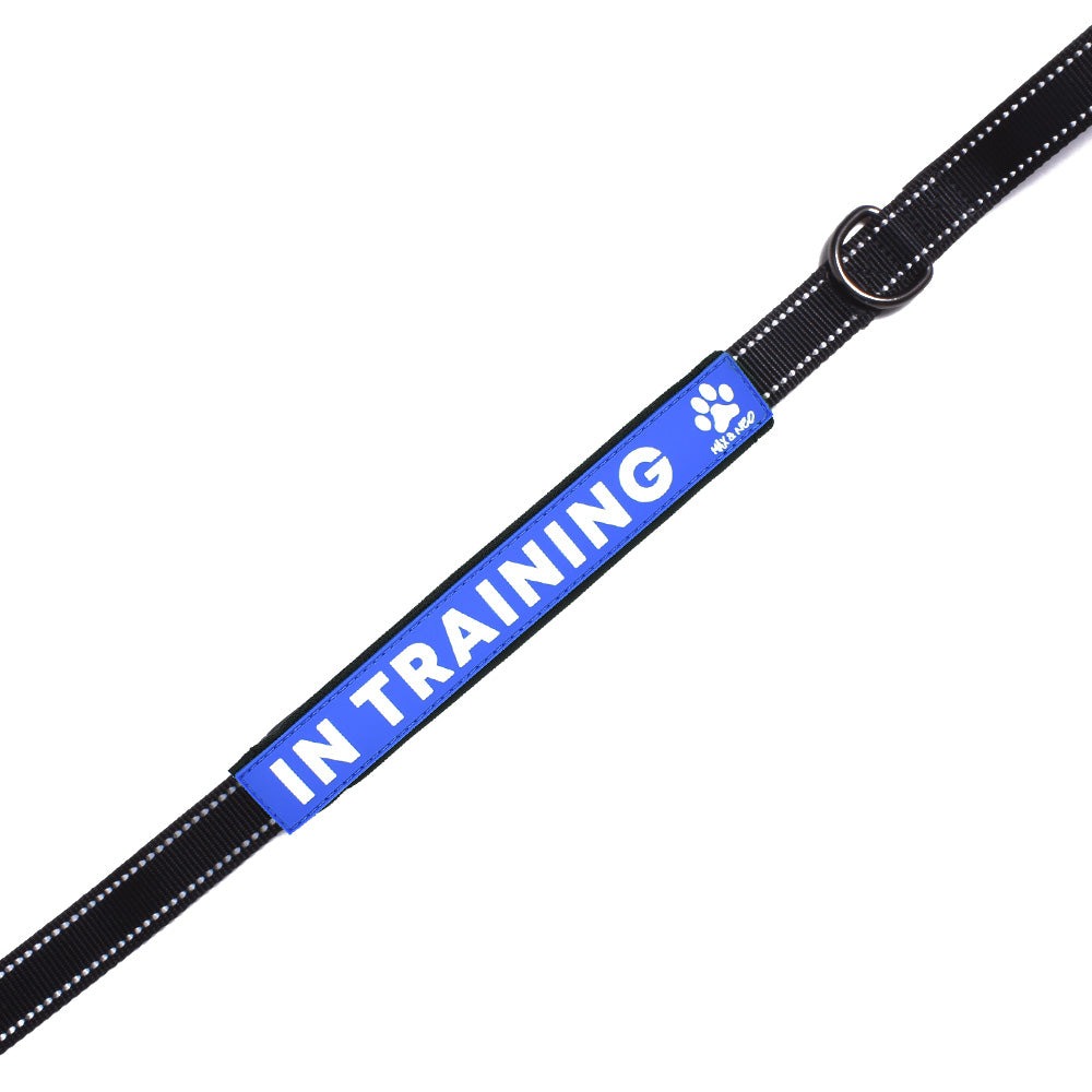In-training leash sleeve
